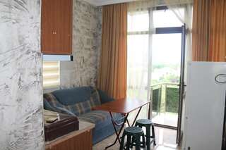 Отель Hotel Temo in Batumi Батуми Трехместный номер с кухней-5